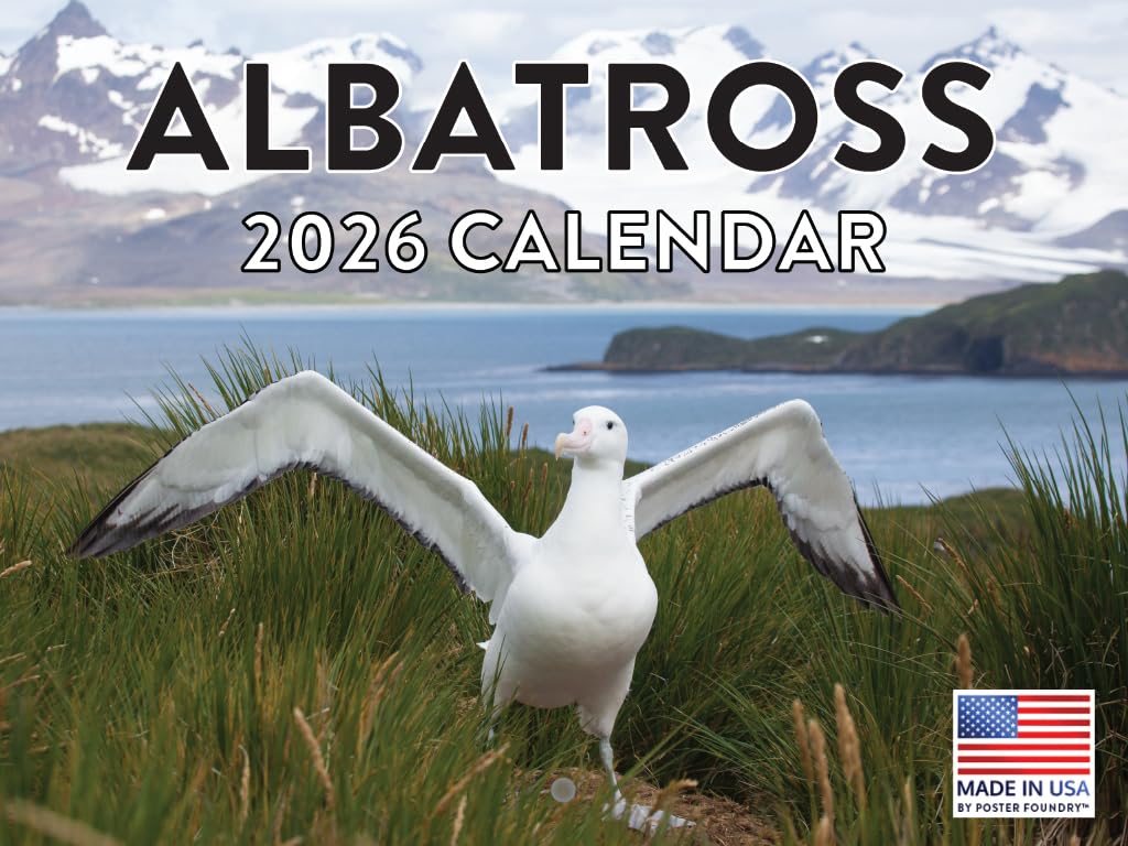Albatross Calendar 2026 Wall Monthly Albatrosses Gifts For Albatross Lovers Women Men | American Made In The USA — image 1
