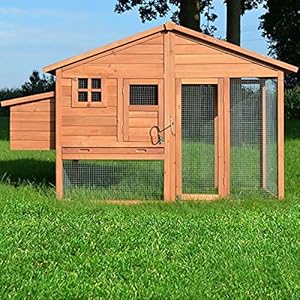 BB Loisir – Pollaio in legno ...