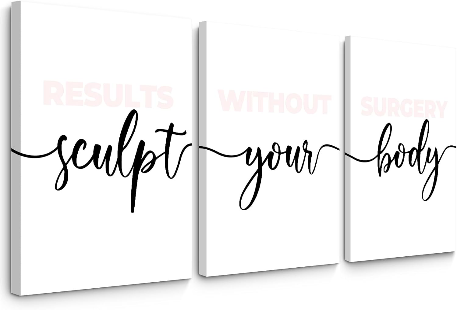 Spa Wall Art Set of 3 Blush Pink Body Sculpting Wall Decor Spa Salon Pictures and Wall Art Girl Esthetician Artwork Poster Prints for Spa Massage Room Girl Room Bedroom 16x24 Inch Wrapped Canvas 16"x24" Wrapped Canvas Spa Prints