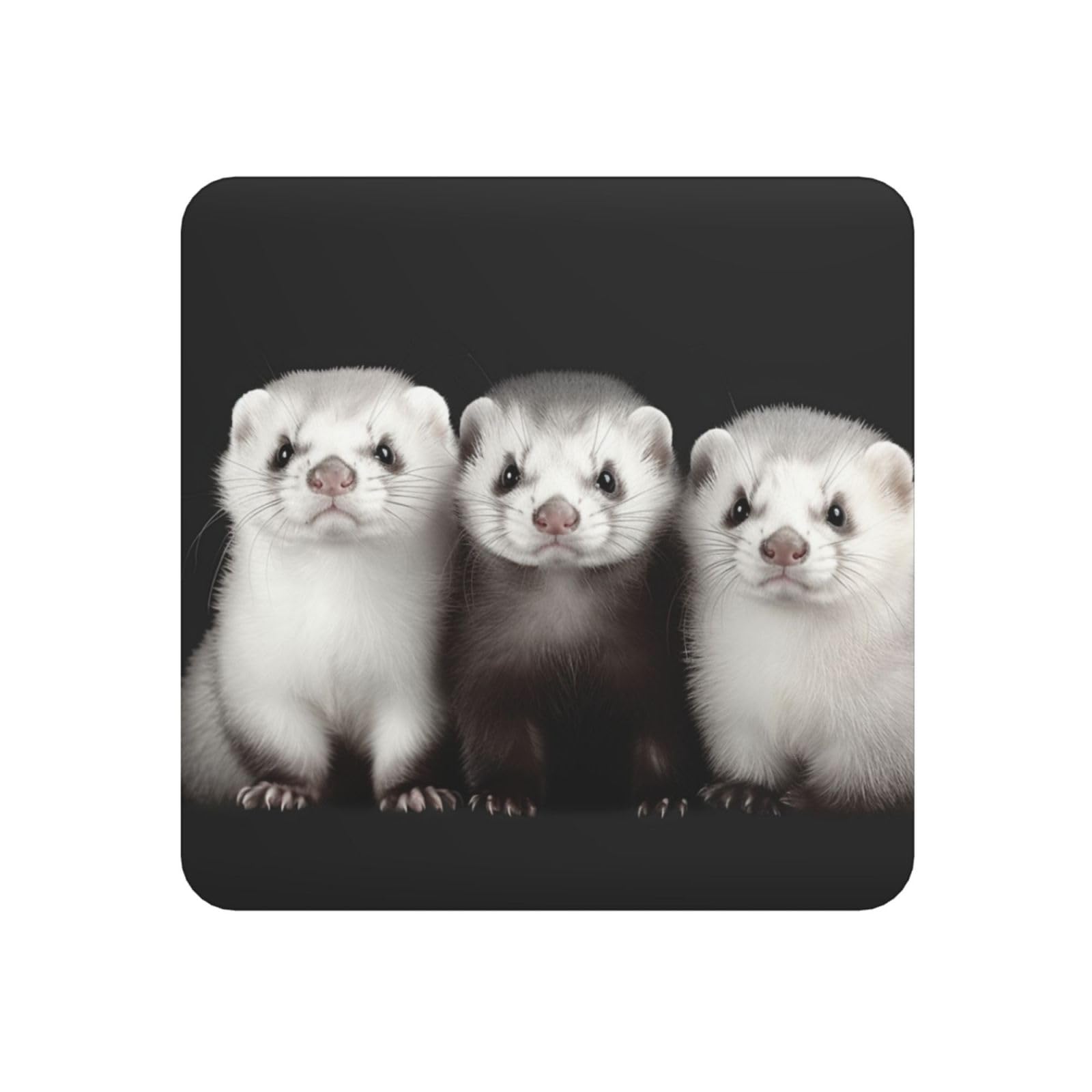 Fodpand Square Ferrets Fridge Magnets, Strong Small Refrigerator Magnets Decorative Magnets For Kitchen Fridge Office Locker - Funny Magnetic Stickers Birthday Gifts