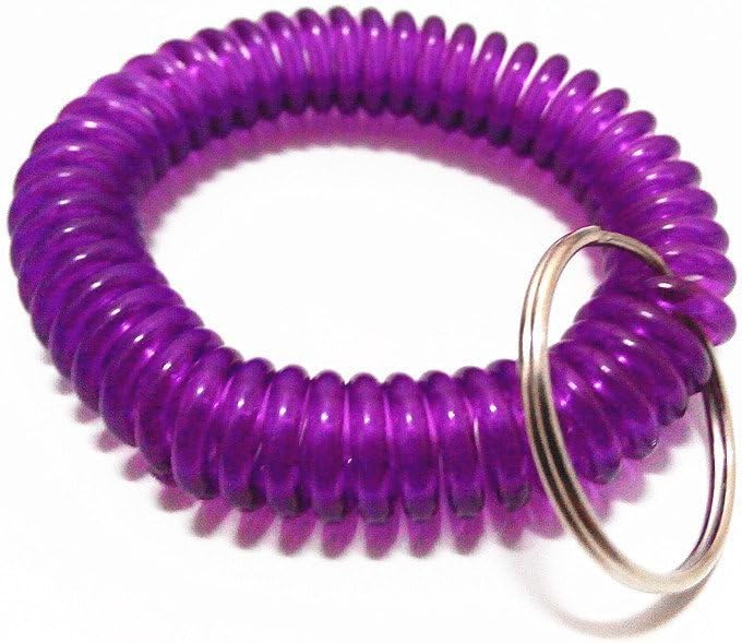 SFamily Pack of 12 Soft Flexible Plastic Spiral Spring Coil Wristband Key Ring Chain Tags Telephone Line Wire Keychains (Purple)