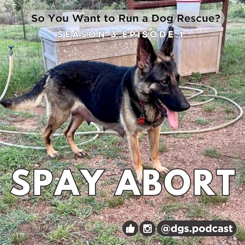 3.1 &mdash; Spay Aborts: The No-Brainer No-Kill Can't Handle