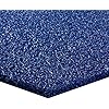 Vinyl Mesh Heavy-Duty Entrance Black 2' x 3' Scraper Mat Without Backing/Borders - Drainable