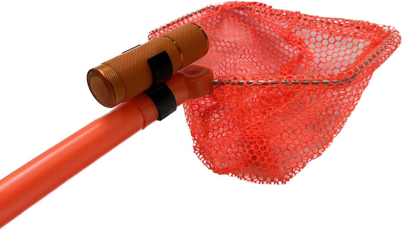 Beach Toys for Kids - Ghost Crabbing Kit - Crab Net - Beach Toy Nets - Bug Catcher Kits - Critters - Youngster Fishing Fishnet - Butterfly Catching - Insects - Ghost Shrimps