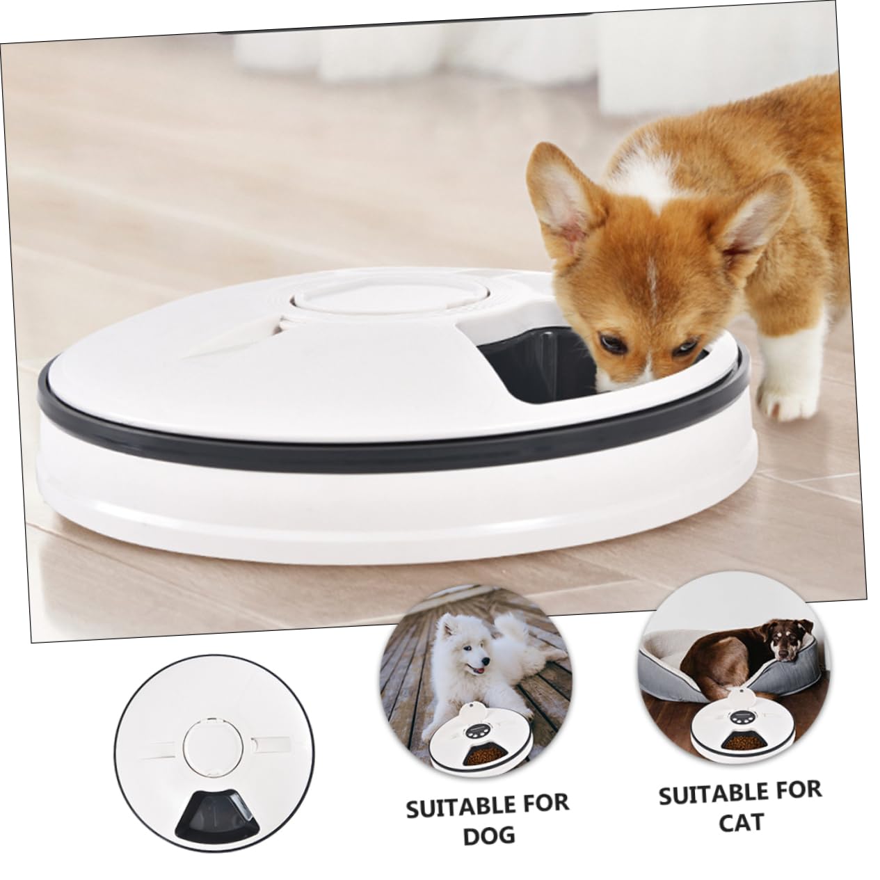 Sosoport Comedero Automático para Perros y Gatos Temporizador Antideslizante Resistente Mordeduras