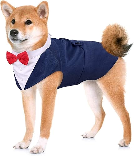 Vista 41 de Kuoser - Juego de traje y paliacate para perros grandes y medianos, tema de esmoquin, para bodas