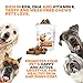 MAX Fish Oil for Dogs – Omega 3 Chews 54,000mg per Jar. Seasonal Allergy Support + Itchy Skin Relief + Shiny Coat + Natural Hip Joint Supplement. Rich in EPA & DHA + Vitamin E. Tasty Treats for Pets
