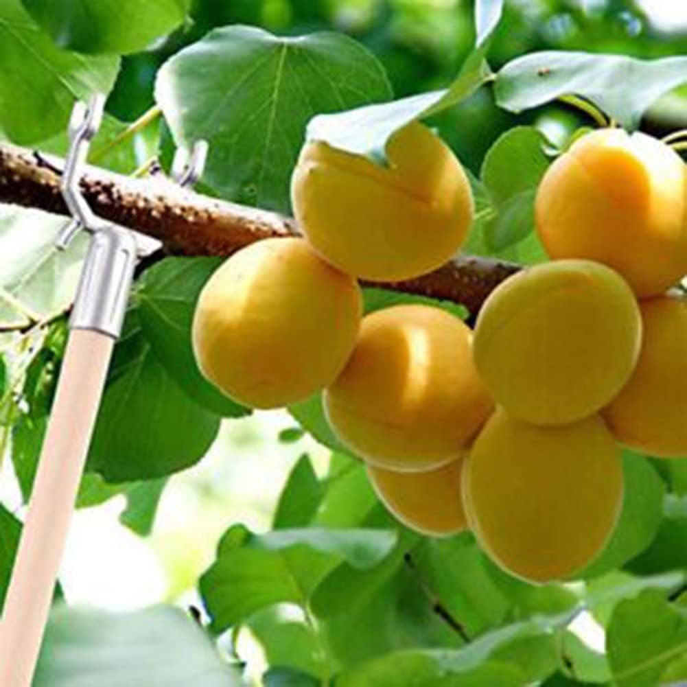 Wensmy 8pcs Plant Branch Support Fruit Tree Branch Tree Shelf Garden Stakes Fruit Tree Branch Support Aluminium Alloy Branch Supports Plants Support Gardening Support - Image 3
