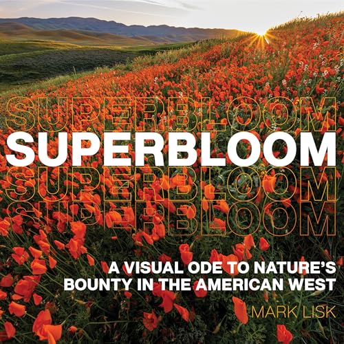 Superbloom: A Visual Ode to Nature's Bounty in the American West