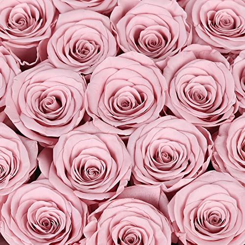 NATROSES Preserved Roses in a Box Real Roses That Last Up to 3 Years, Long Lasting Roses for Her, Preserved Flower Mothers Day Valentines Day Gifts for Her (Dusty Rose)
