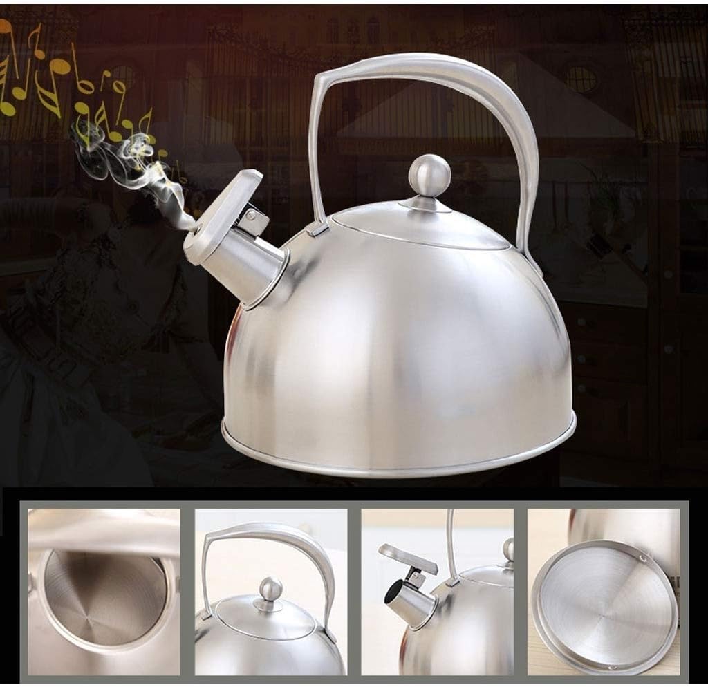 Stove-top Stainless Steel Hot Water Kettle with Ergonomic Handle Whistling