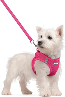 rabbitgoo Step-in Dog Harness Small & Leash Set - Breathable Mesh Puppy Vest, Reflective, Adjustable for Easy Safe Walks, Rose Red S