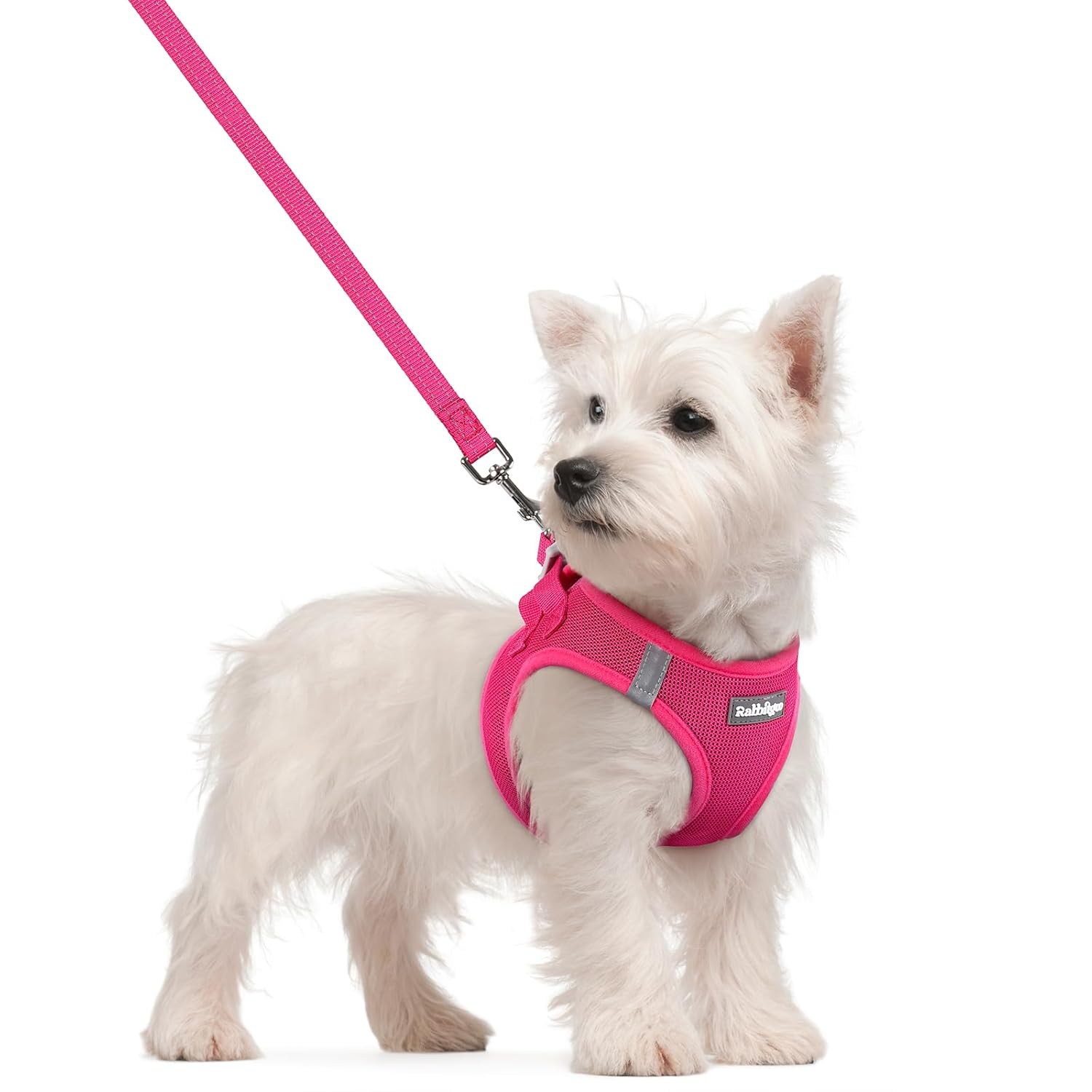 rabbitgoo Dog Harness Small Sized and Leash Set Step in Soft Light Puppy Vest Breathable Mesh Pet Harness