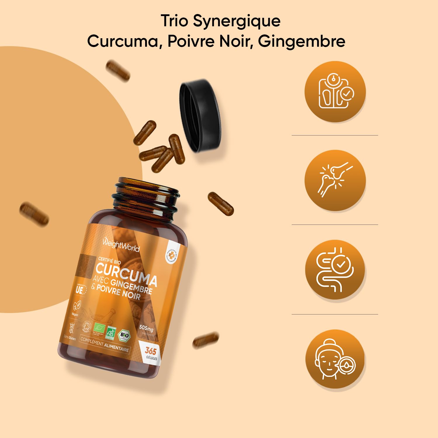 Duo Complémentaire - Curcuma Bio, Poivre Noir, Gingembre 365 Gélules Vegan - Psyllium Blond Bio 180 Gélules Vegan, Tégument de Graine de Plantago Ovata - Gélules Multi-Usages Certifiées AB