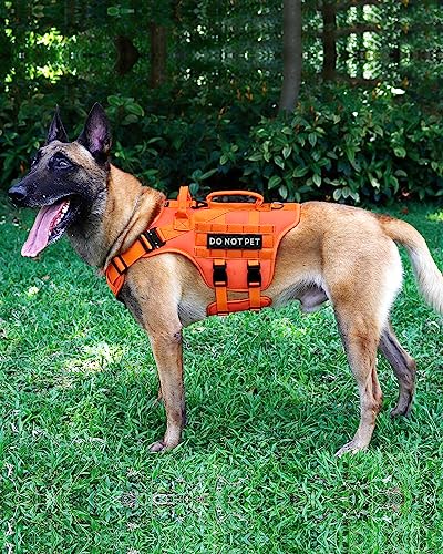 Image of Tactical Dog Harness - PETNANNY Dog Harness Service Dog Vest for Large Breed Dog, Hook and Loop Panel for Service Dog Patchs, Work Dog MOLLE Vest with Handle for Walking Hiking Training(Orange,XL)