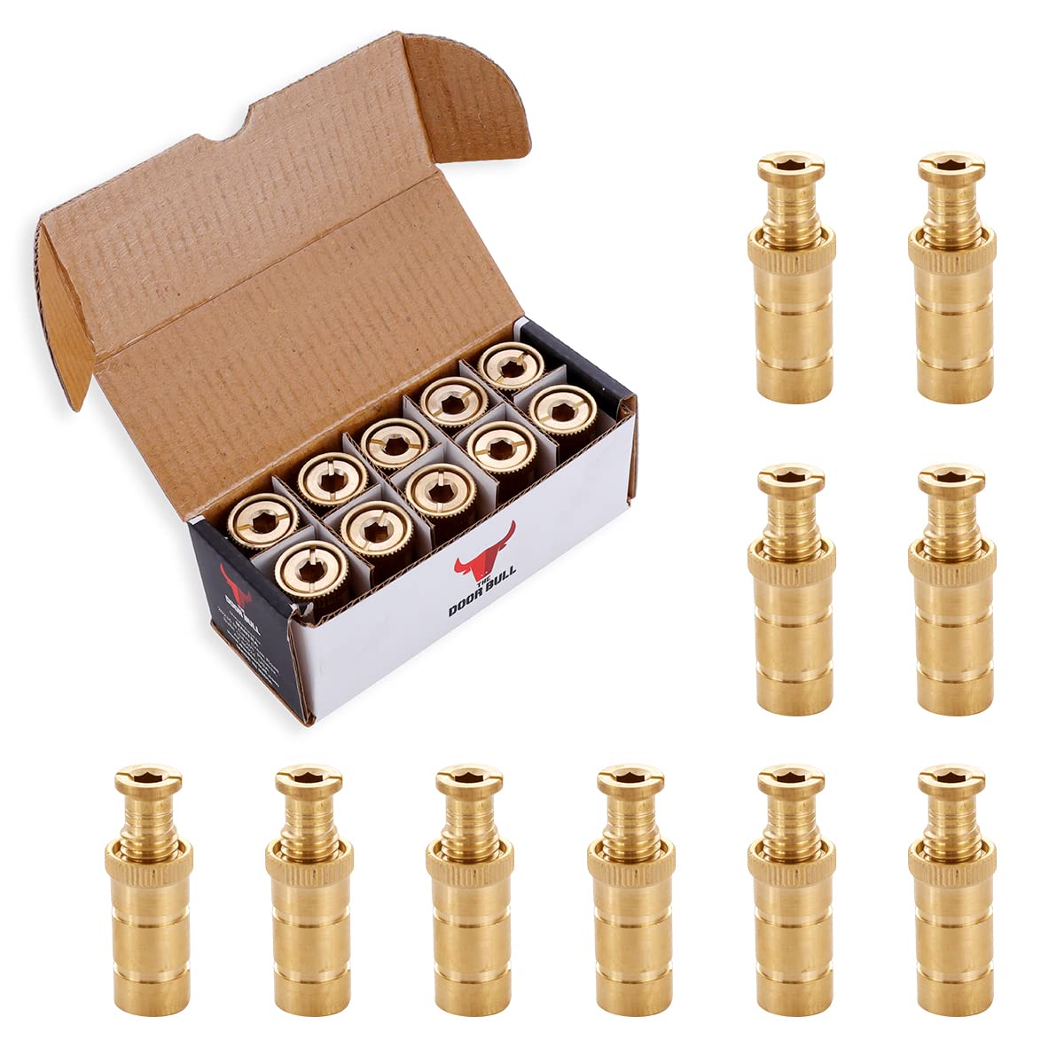 The Door Bull Brass Pool Cover Anchors