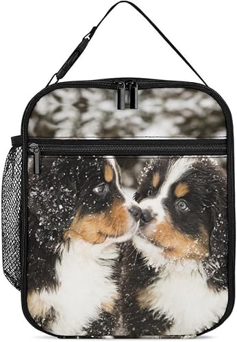 Wapusud Lonchera reutilizable para niños, niñas, hombres, mujeres, lonchera portátil aislada a prueba de fugas, bolsa de mano para escuela, oficina,