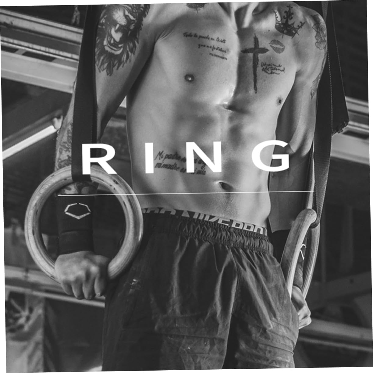 Wood Gymnastics Rings Premium Strength Training Supplies for Home Gym Adjustable Height Engages Core Versatile Workout Equipment for Pushups Dips and More