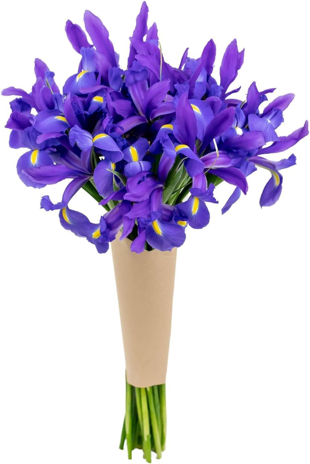 Stargazer Barn Be My Roman Empire Bouquet Telstar Iris Fresh Flowers, Fresh Cut Flowers for Longer Life - Bouquet of Flowers for Birthday, Anniversary, Get Well, Sympathy, Congratulations, Thank You