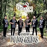 Los Gallos De Itunyoso