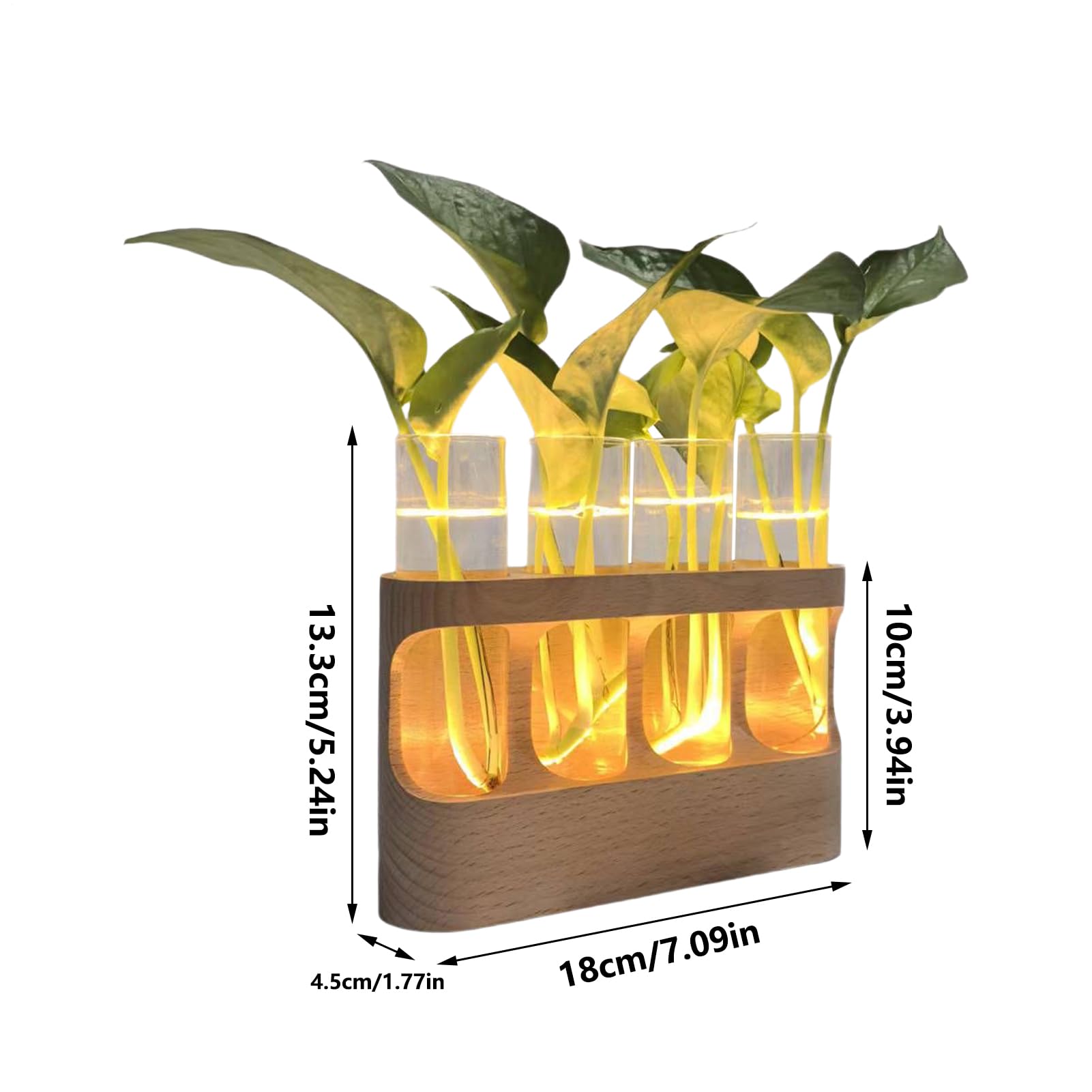 Vase De Propagation Terrarium avec Éclairage LED Réglable