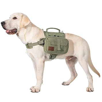 OneTigris Dog Pack Hound Travel Camping Hiking Backpack Saddle Bag Rucksack for Medium & Large Dog (Green, Small)