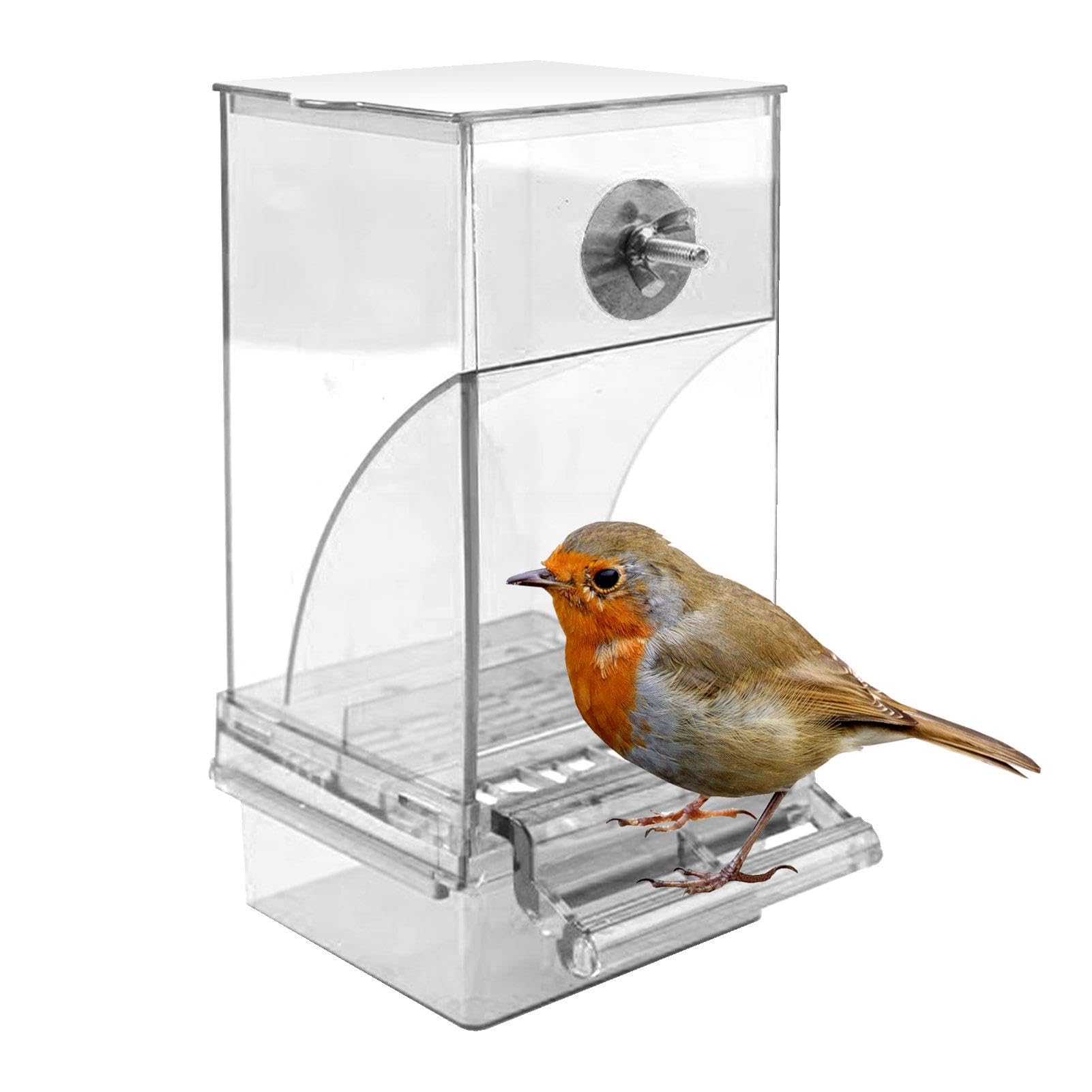 Comedero automático para pájaros para jaula, comedero para pájaros sin ensuciar,Contenedor Automático de Comida para Periquitos | Accesorios para jaula de comedero para pájaros de interior, alimentado