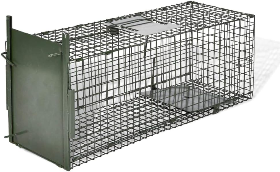 Life Trap 1 door