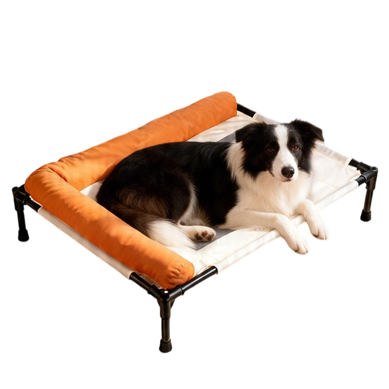 Lit surélevé pour chien idéal pour la terrasse la plage et le camping en plein air