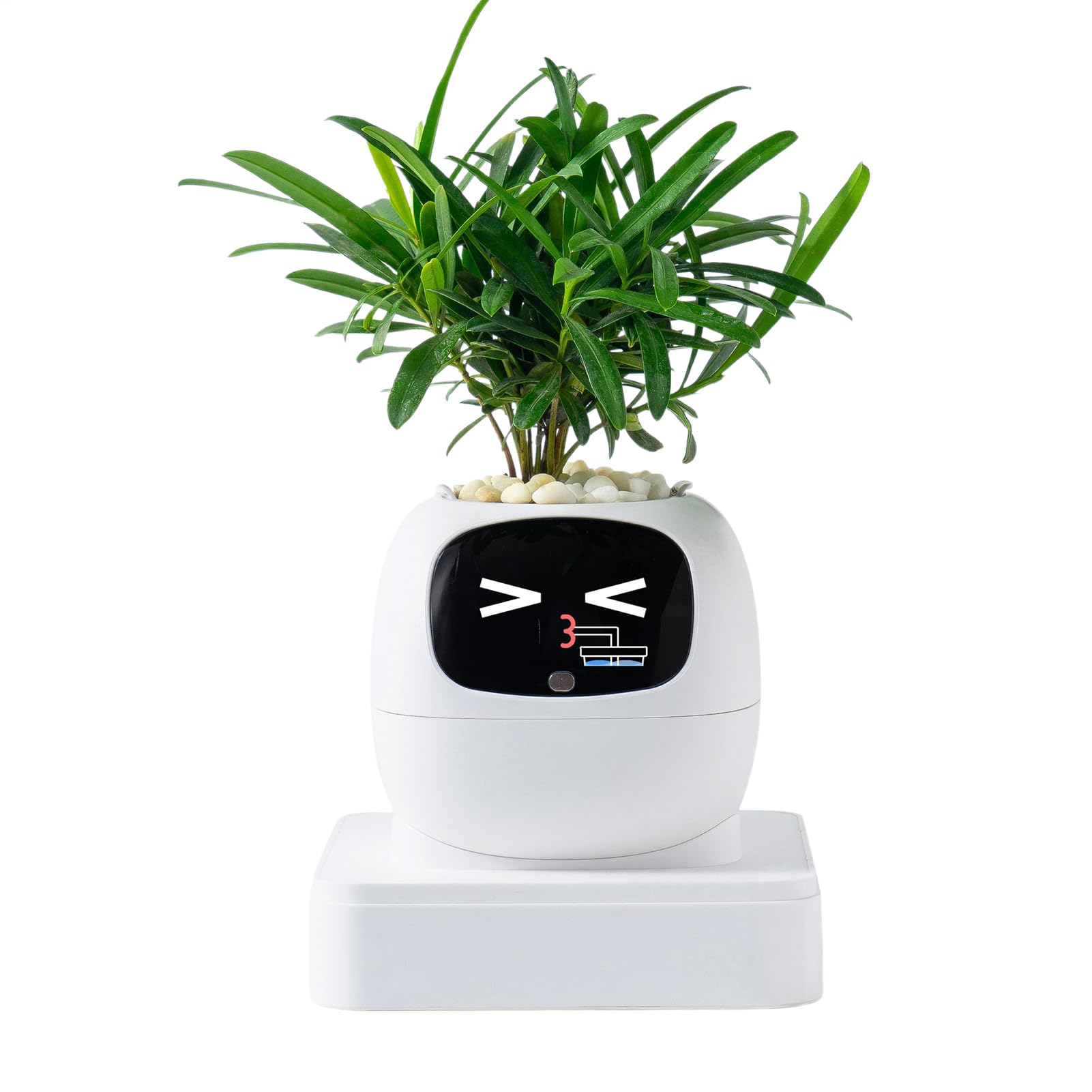Vaso Intelligente Per Piante Portavasi Multifunzione con Espressioni | Fioriera Per Piante Grasse Per Interni Appartamento Balcone Patio Principianti Compleanno San Festa Della