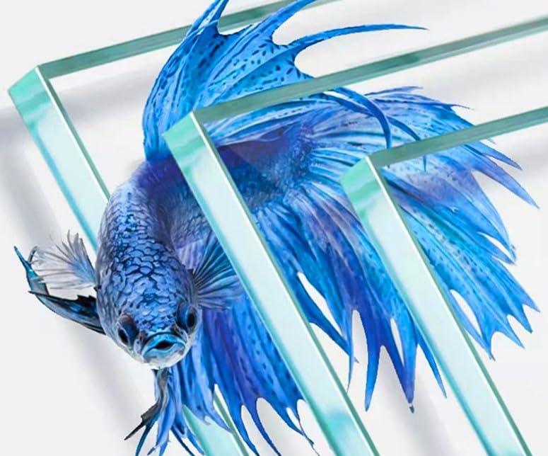 Amazon | 水槽 キューブ 25CM W25D25H25 超透明ガラス アクアリウム