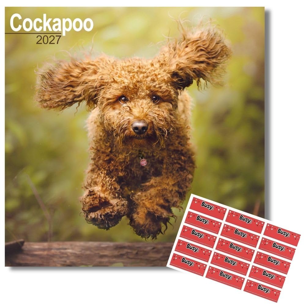 Avonside Cockapoo 2027 Square Calendar with Organisational Stickers