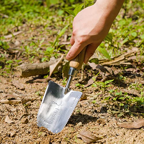 Image of Berry&Bird Garden Serrated Planting Trowel, Multifunctional Shovel with ash Wood and Stainless Steel Digging Trowel Transplanter