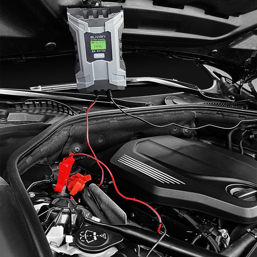 BLIVION Carica Batteria per Auto 6V/2A 12V 2A/6A | Fornisce diagnostica avanzata per indicare le batterie danneggiate | Per Batterie piombo acido