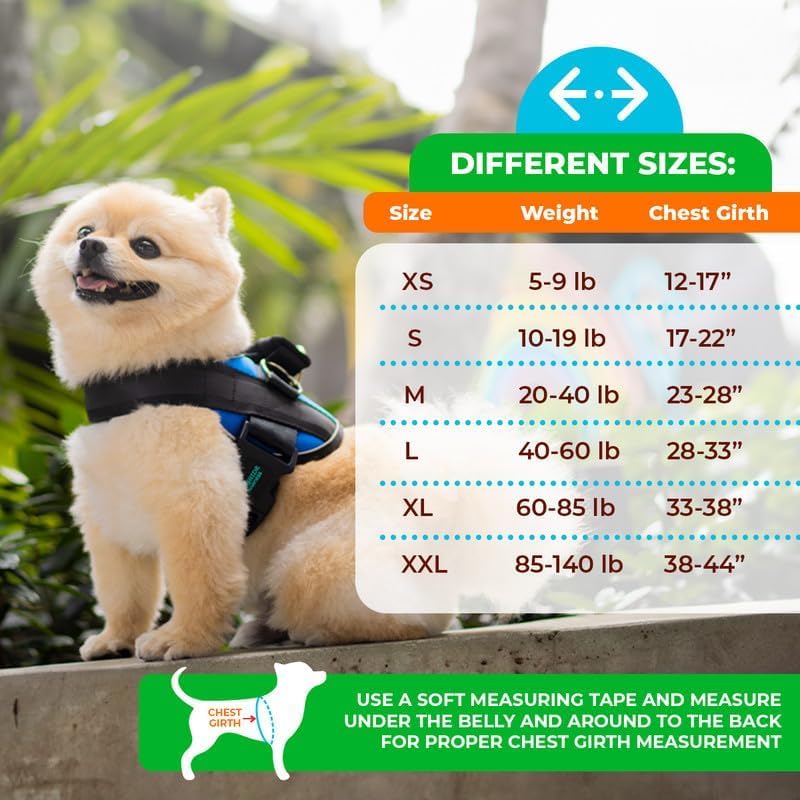 Joyride-Harness-Summer-Mesh-Vest–20-No-Pull-Dog-Harness-Adjustable-Breathable-Vest-Custom-Name-Tag-Included-Perfect-for-Small-Medium-Large-Dogs Joyride Harness Summer Mesh Vest–20 No Pull Dog Harness Adjustable Breathable Vest Custom Name Tag Included Perfect for Small Medium Large Dogs