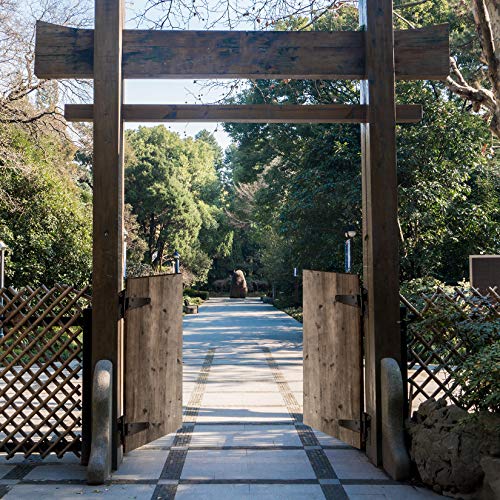 8 Pcs T-Strap Gate Hinges, Heavy Duty T Tee Shed Door Hinges, Barn Door Hardware Hinges For Wooden Fences, Yard Door, Barn Door Gates, Shed Door Gate, Heavy Dut T-Strap Hinges - 4 Inch #TOP5