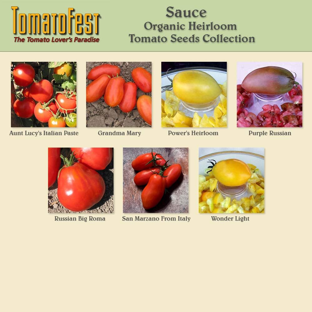 TomatoFest Colección de semillas de tomate tradicionales orgánicas de