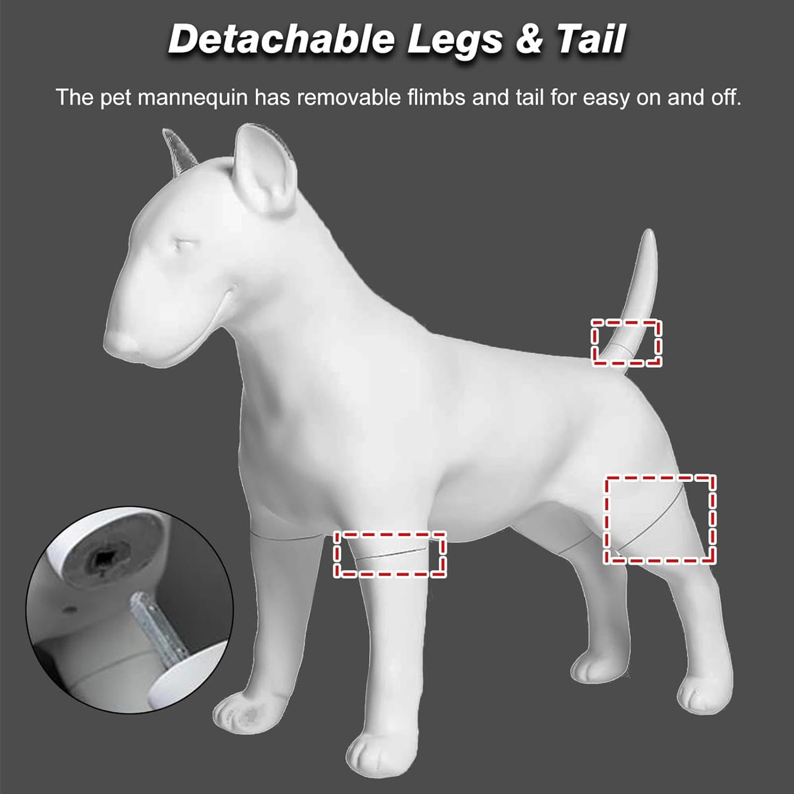 Modello di manichino per cani Bull Terrier, espositore per abbigliamento per animali domestici, con gambe staccabili, per fotografia e uso in negozio di animali, statua realistica per cani
