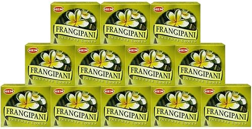 Vista 164 de TRUMIRI Paquete de soporte de cono de incienso con conos de incienso para clientes de llamadas, paquete de 12 (aproximadamente 120 conos)