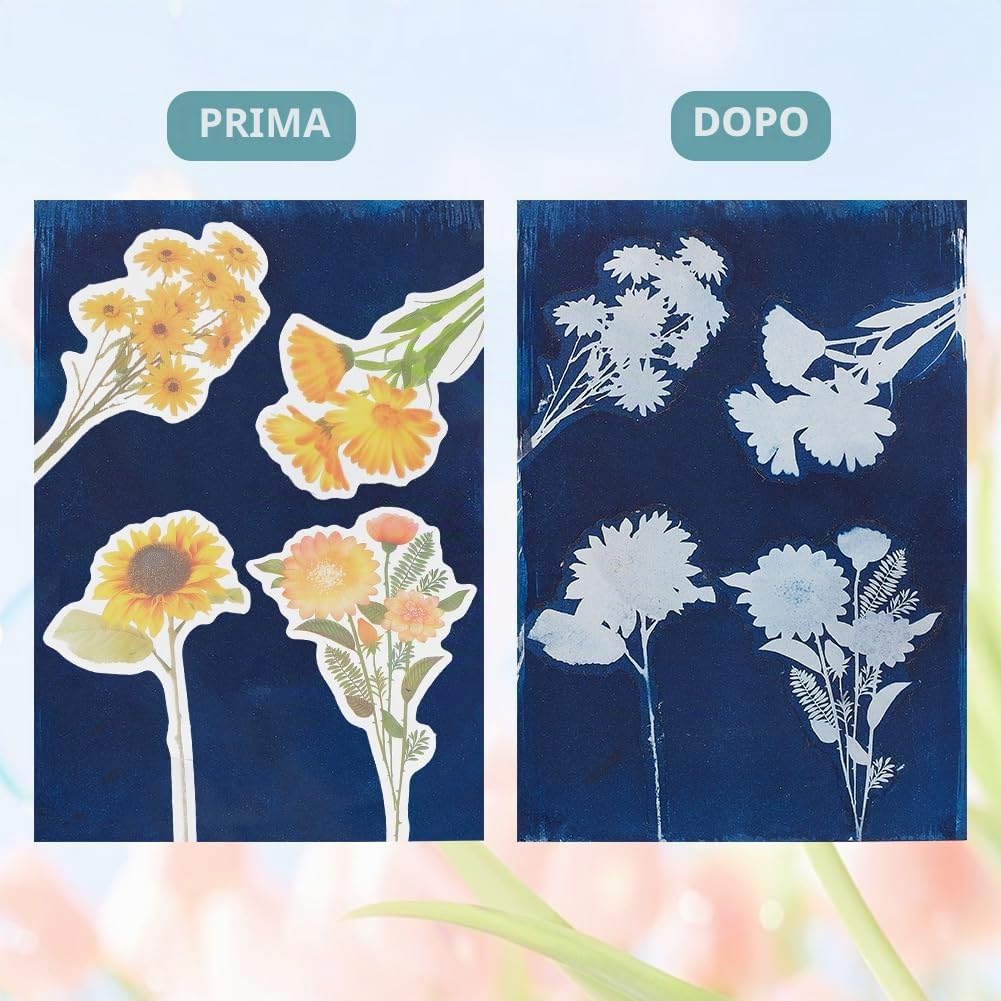 WEBEEDY 30 fogli A4 cianotipo Sun Print Paper Kit – Girasole, margherita, natura carta da stampa per fai da te