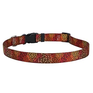 Yellow Dog Design Flower Works Red Dog Collar 3/4 Wide and Fits Neck 10 to 14
