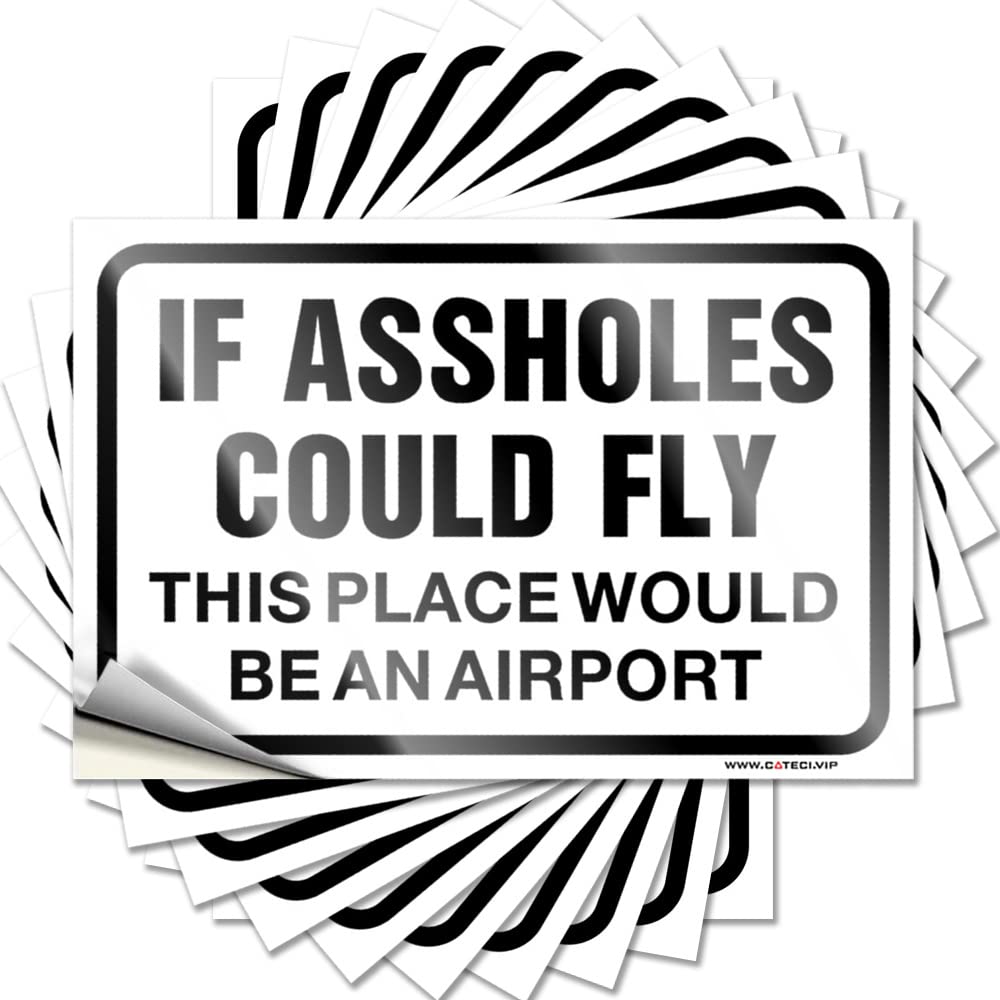 Spicy Sticker Aesthetic Decals, Modern Cute Pattern Design for Racing Notebook | Window Removable Vinyl If Assholes Could Fly This Place Would Be an Airport(8X12CM)