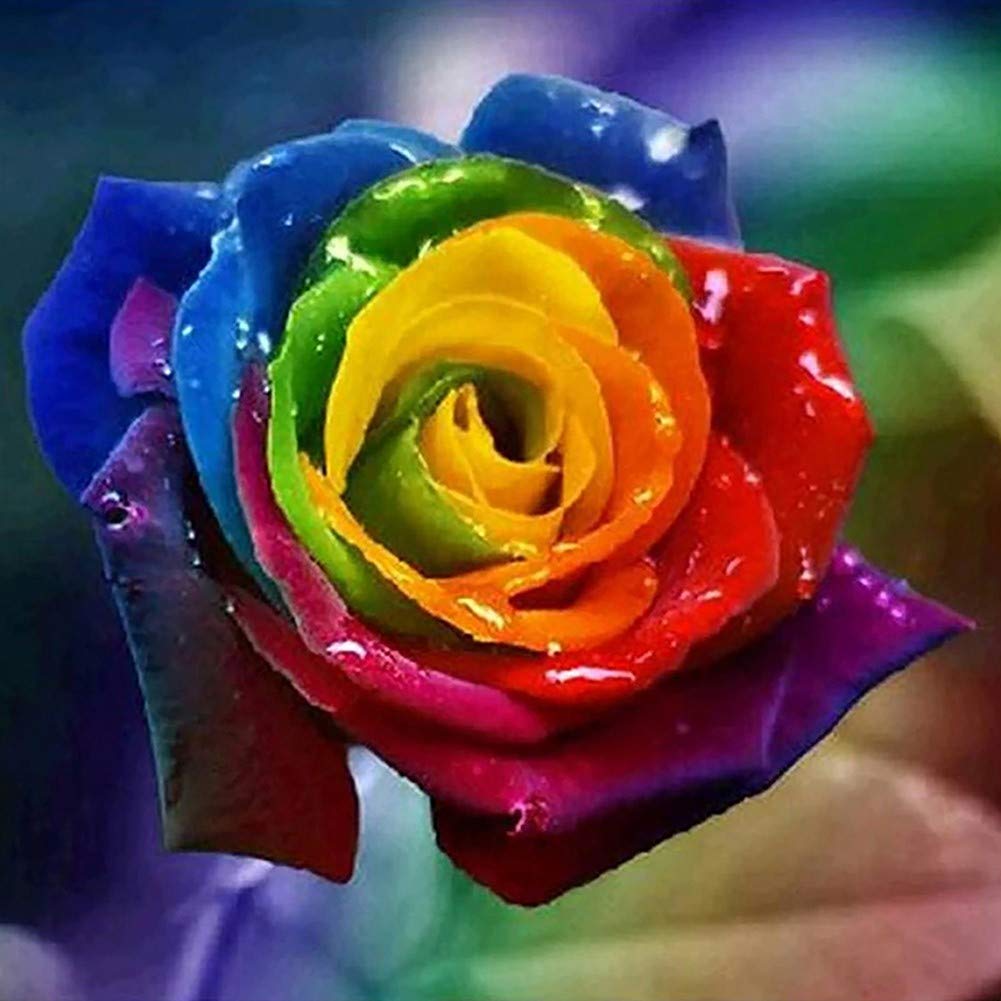 Awesocrafts Cross Stitch Stamped Kits Colorful Blooming Rose Flower Easy Patterns Cross Stitching Embroidery Needlework Kit Supplies (Rose)