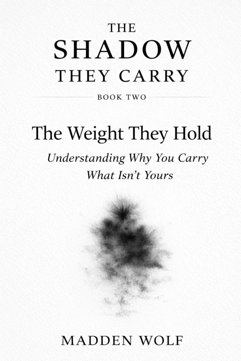 The Shadow They Carry: The Weight They Hold: Understanding Why You Carry What Isn’t Yours