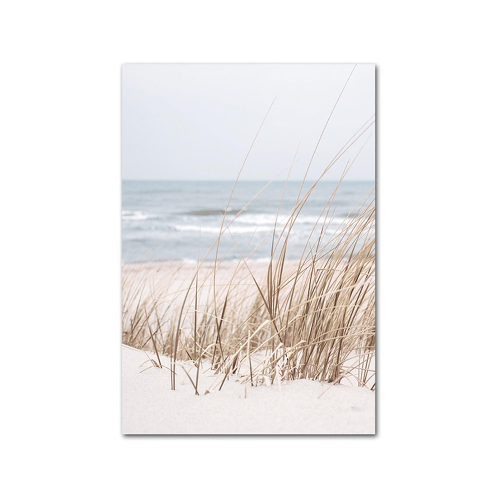 Toile d'art mural de plage océan affiche tortue mouette peinture vibrante 40x50cm