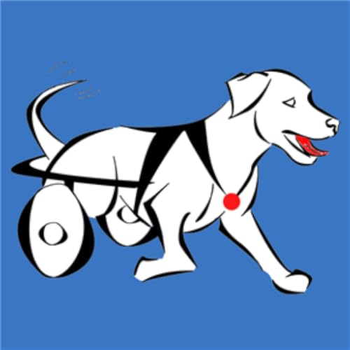 DogWheelchairs - //medicalbooks.filipinodoctors.org