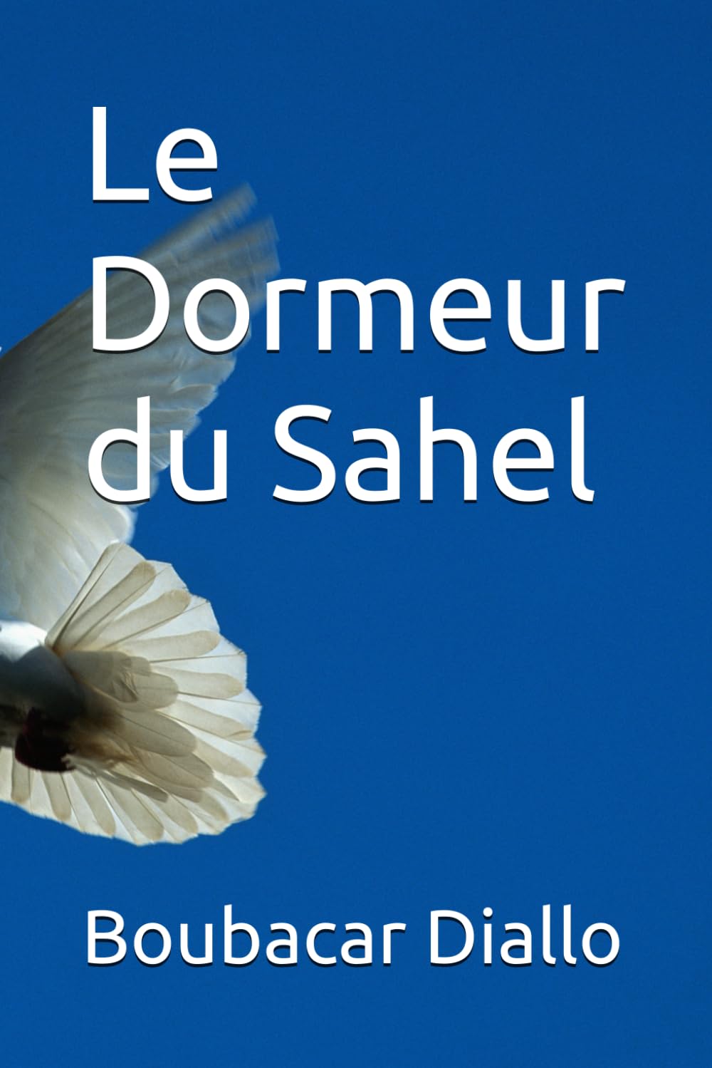 Le Dormeur du Sahel