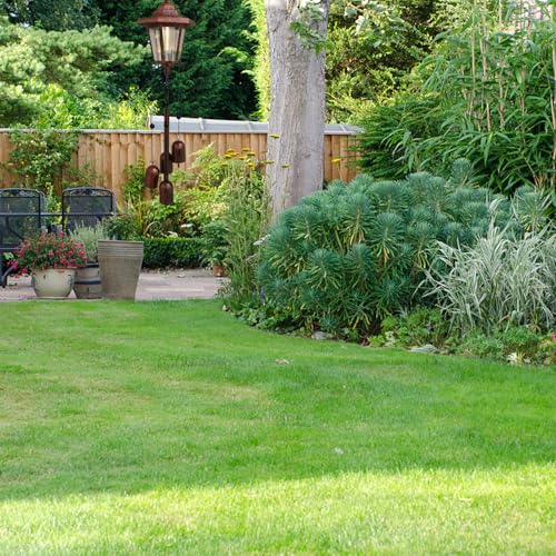 Carillon éolien pour jardin extérieur lampe solaire étanche et éclairage de véranda - 4