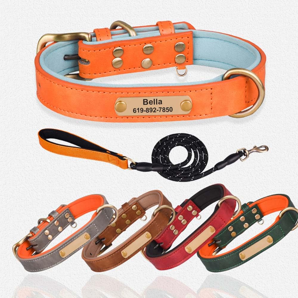 Customized Dog Collar Personalized Dog Collar Leather Padded Dogs
