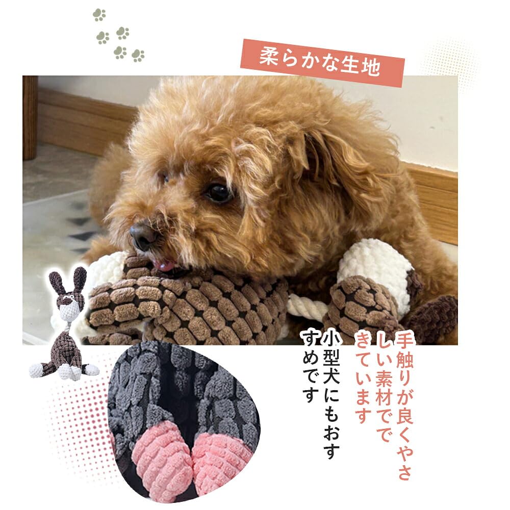 Amazon | Lifetips アイリッシュ・セッター（Irish Setter） 犬